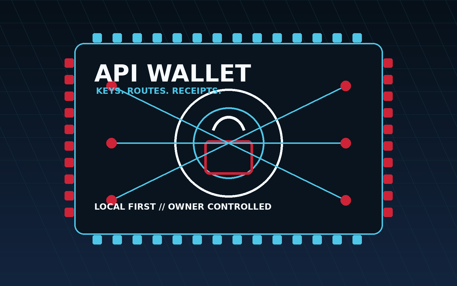 API Wallet secure circuit visual